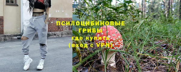 mix Алексин