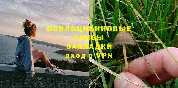 мет Новозыбков