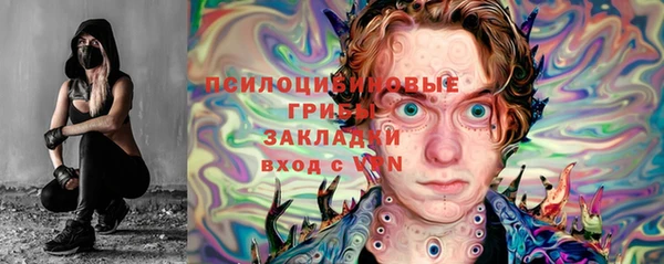 дмт Алексеевка