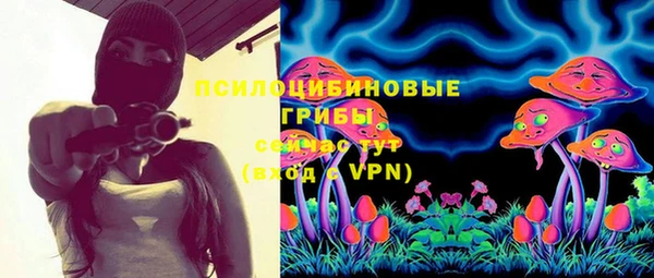 дмт Алексеевка