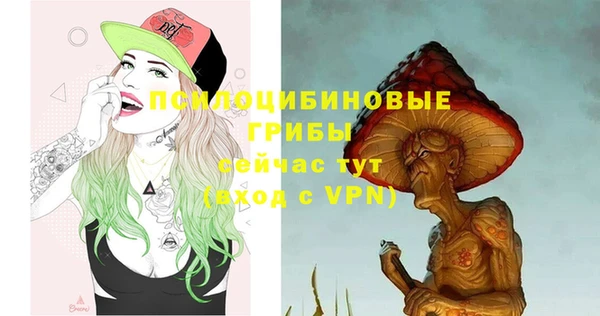 дмт Алексеевка